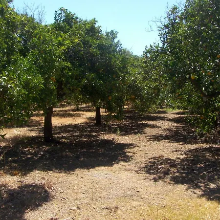 Tatil Evi A Casa Da Maria