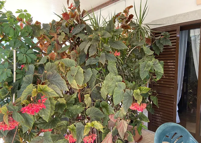 A Casa Da Maria Nyaraló *