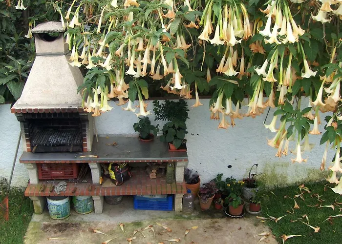 A Casa Da Maria Nyaraló *